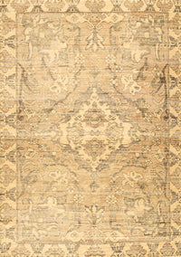 Persian Brown Traditional Rug, tr4027brn