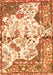 Persian Orange Traditional Rug, tr4030org