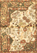 Persian Brown Traditional Rug, tr4030brn