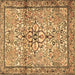 Square Machine Washable Persian Brown Traditional Rug, wshtr4034brn