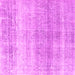 Square Machine Washable Persian Pink Traditional Rug, wshtr4042pnk