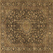 Square Persian Brown Traditional Rug, tr4046brn