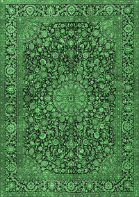 Persian Emerald Green Traditional Rug, tr4046emgrn