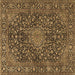 Square Machine Washable Persian Brown Traditional Rug, wshtr4046brn