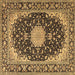 Square Machine Washable Medallion Brown Traditional Rug, wshtr4047brn