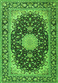 Medallion Green Traditional Rug, tr4047grn