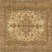 Square Machine Washable Persian Brown Traditional Rug, wshtr4048brn