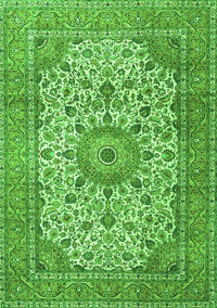 Persian Green Traditional Rug, tr4050grn