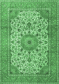 Persian Emerald Green Traditional Rug, tr4050emgrn