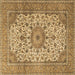 Square Persian Brown Traditional Rug, tr4050brn