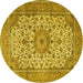 Round Persian Yellow Traditional Rug, tr4050yw