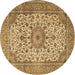Round Persian Brown Traditional Rug, tr4050brn