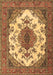 Machine Washable Medallion Brown Traditional Rug, wshtr4051brn