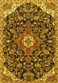 Persian Yellow Traditional Rug, tr4053yw