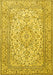 Persian Yellow Traditional Rug, tr4055yw