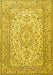 Machine Washable Persian Yellow Traditional Rug, wshtr4055yw