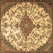 Square Machine Washable Persian Brown Traditional Rug, wshtr4056brn