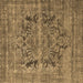 Square Persian Brown Traditional Rug, tr4057brn