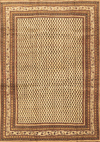 Persian Brown Traditional Rug, tr4066brn