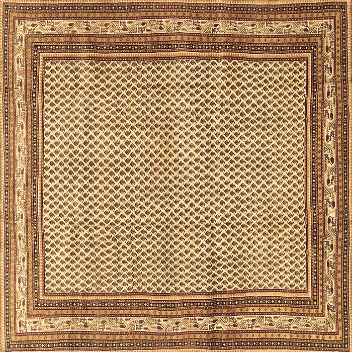 Square Machine Washable Persian Brown Traditional Rug, wshtr4066brn