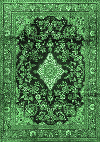 Persian Emerald Green Traditional Rug, tr4069emgrn