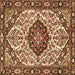 Square Machine Washable Persian Brown Traditional Rug, wshtr4072brn