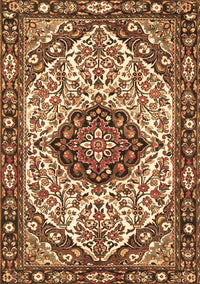 Persian Brown Traditional Rug, tr4072brn