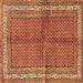 Square Machine Washable Persian Brown Traditional Rug, wshtr4076brn