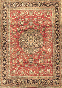 Medallion Brown Traditional Rug, tr4078brn