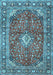 Medallion Light Blue Traditional Rug, tr4079lblu