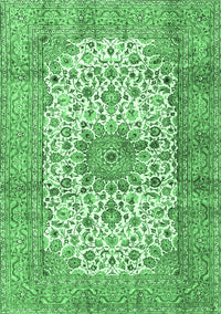 Persian Emerald Green Traditional Rug, tr4080emgrn