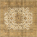 Square Machine Washable Persian Brown Traditional Rug, wshtr4080brn