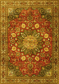 Medallion Yellow Traditional Rug, tr4083yw