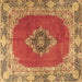 Square Machine Washable Medallion Brown Traditional Rug, wshtr4084brn