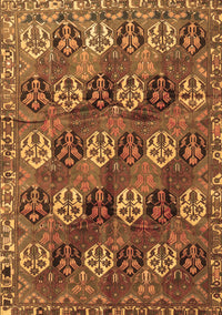 Persian Brown Traditional Rug, tr4086brn