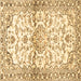 Square Persian Brown Traditional Rug, tr4087brn