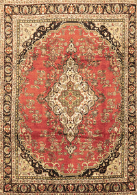 Medallion Brown Traditional Rug, tr408brn