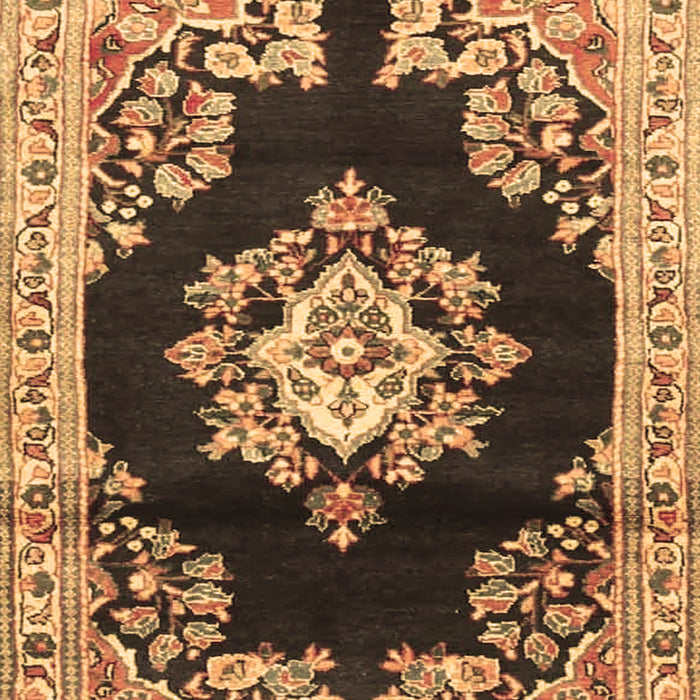 Medallion Brown Traditional Rug, tr4090brn