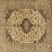 Square Machine Washable Persian Brown Traditional Rug, wshtr4094brn