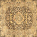 Square Persian Brown Traditional Rug, tr4095brn