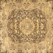 Square Machine Washable Persian Brown Traditional Rug, wshtr4095brn