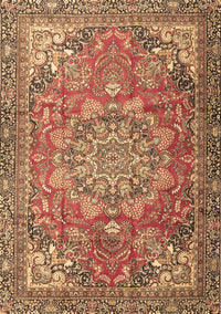 Medallion Brown Traditional Rug, tr4097brn