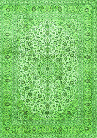 Persian Green Traditional Rug, tr409grn
