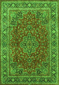 Medallion Green Traditional Rug, tr40grn