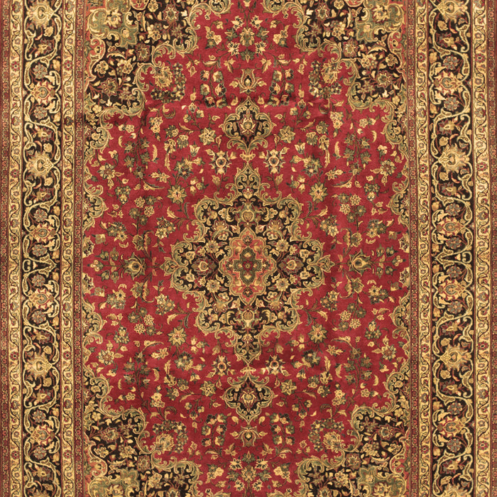 Medallion Brown Traditional Rug, tr40brn