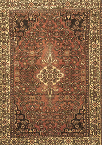 Persian Brown Traditional Rug, tr4100brn