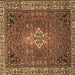 Square Machine Washable Persian Brown Traditional Rug, wshtr4100brn