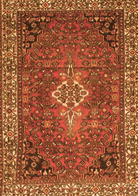 Persian Orange Traditional Rug, tr4100org