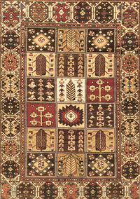 Persian Brown Traditional Rug, tr4102brn