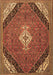 Medallion Brown Traditional Rug, tr4104brn